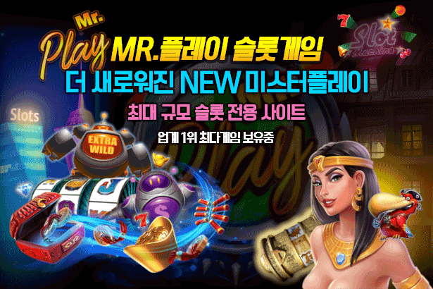 미스터플레이